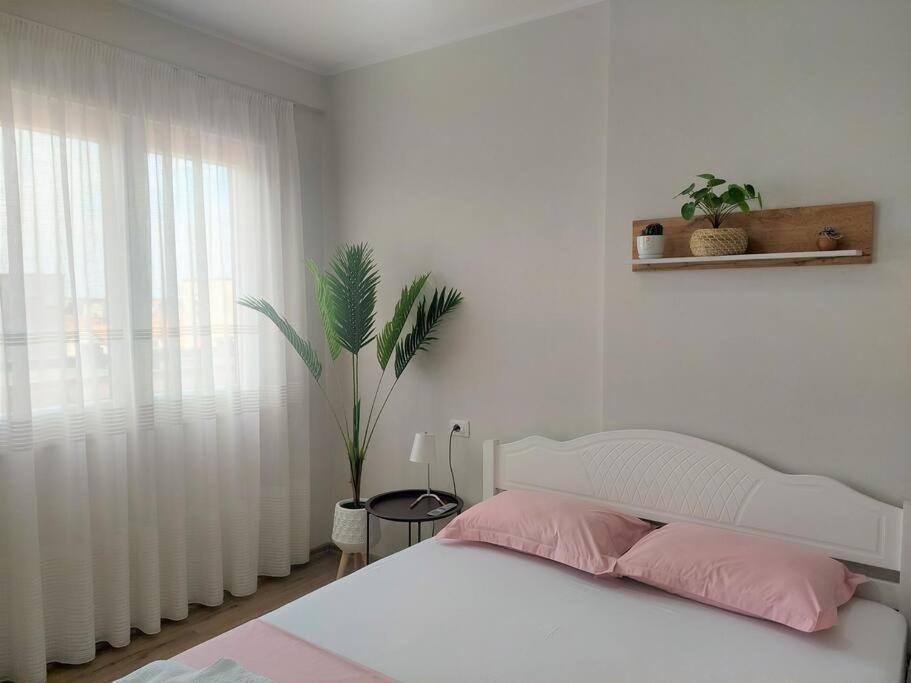 The Dekori Flat Apartment