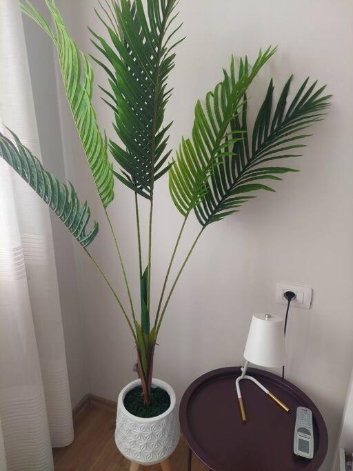 The Dekori Flat *